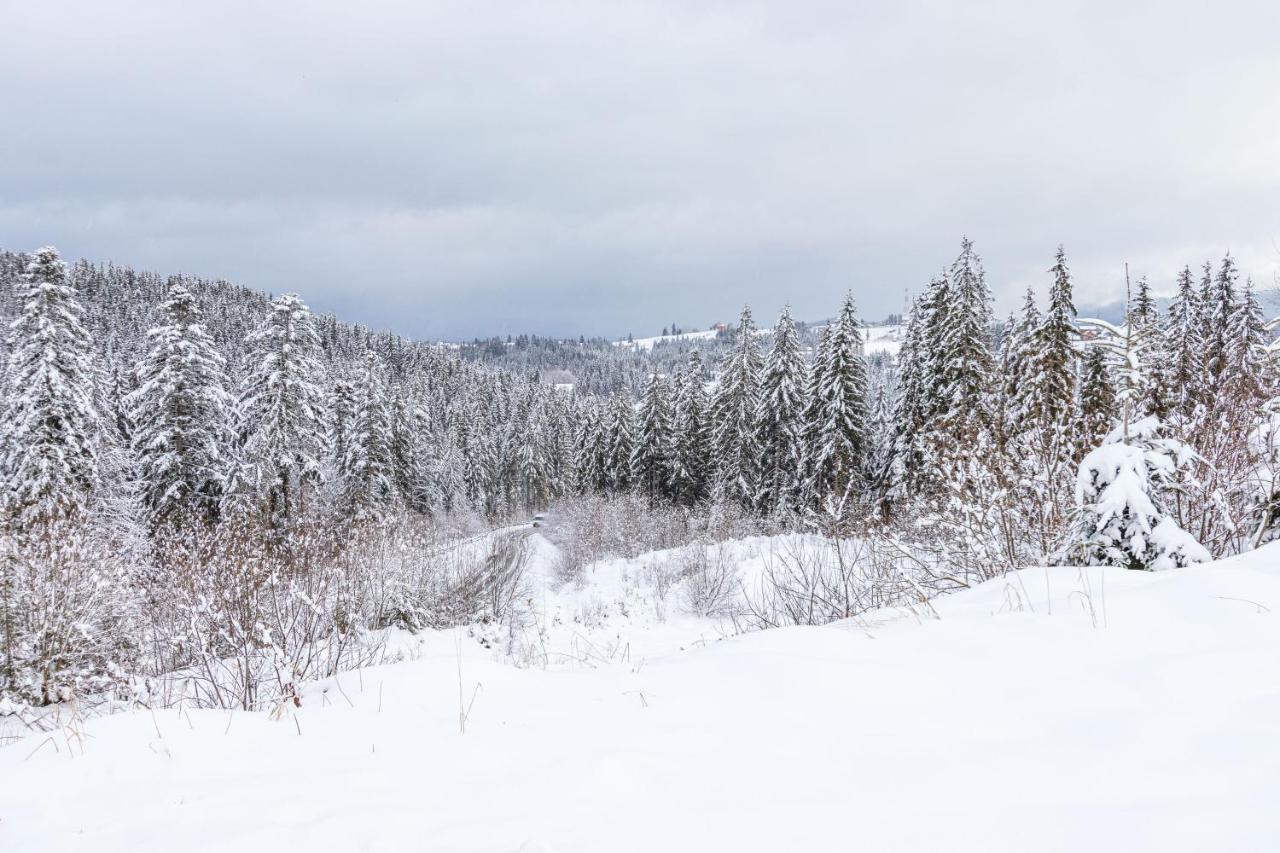 Rich Oak - Готель З Відкритим Панорамний Басейном Yablunytsya Bagian luar foto